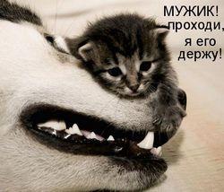 недостатками человека